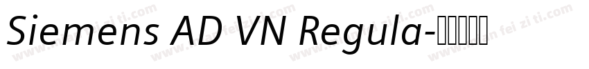 Siemens AD VN Regula字体转换